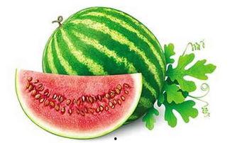 冬天吃的大瓜,冬季大瓜美食攻略