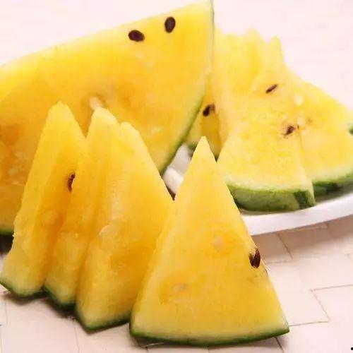 几月龄可以吃小瓜,几月龄开始尝试美味小瓜”