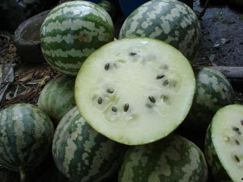 砀山小白瓜怎么吃,砀山小白瓜的多样食法探索