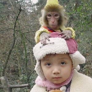 故事绝望吃瓜视频,揭秘网络视频背后的黑暗面