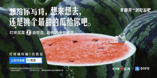 学校吃瓜文案,揭秘校园里的那些“秘密”趣事