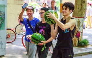 大连某学校吃瓜,揭秘校园里的那些“秘密”