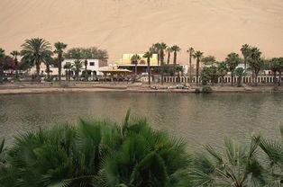 绿洲时间吃瓜地点,探寻吃瓜地点的奇妙之旅