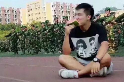 田志希吃瓜群众,吃瓜群众的娱乐盛宴