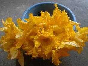 笼中吃瓜,揭秘娱乐圈背后的故事