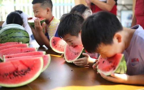 小孩吃瓜大赛,少儿吃瓜大赛欢乐上演
