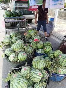 微山吃瓜事件后续故事,真相大白后的反转与反思